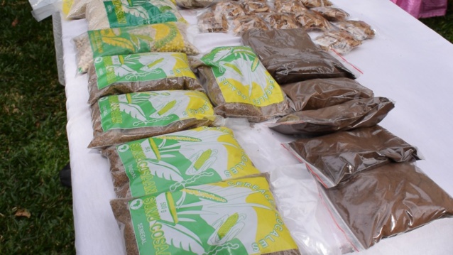 Thiès- Séminaire de Formation pour les femmes de Habib Niang de l'APR sur la gestion des financements (texte et vidéo) Thiès- Séminaire de Formation pour les femmes de Habib Niang de l'APR sur la gestion des financements (texte et vidéo)