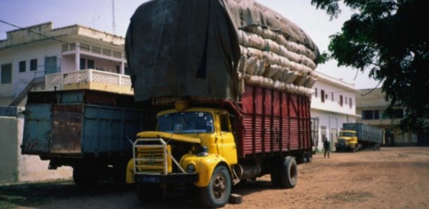 Fermeture de la frontière Sénégal - Guinée: Dégâts collatéraux de la brouille Macky-Alpha Condé? Fermeture de la frontière Sénégal - Guinée: Dégâts collatéraux de la brouille Macky-Alpha Condé?
