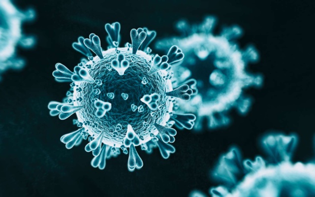 Classement des virus animaux les plus dangereux pour l’Homme