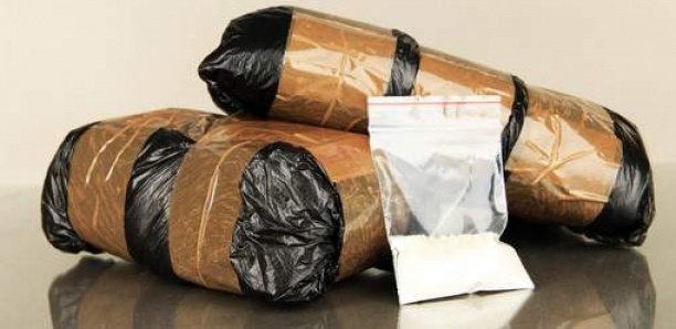 Vélingara : 1 Kg de cocaïne découvert dans le domicile d'un chef de village Vélingara : 1 Kg de cocaïne découvert dans le domicile d'un chef de village