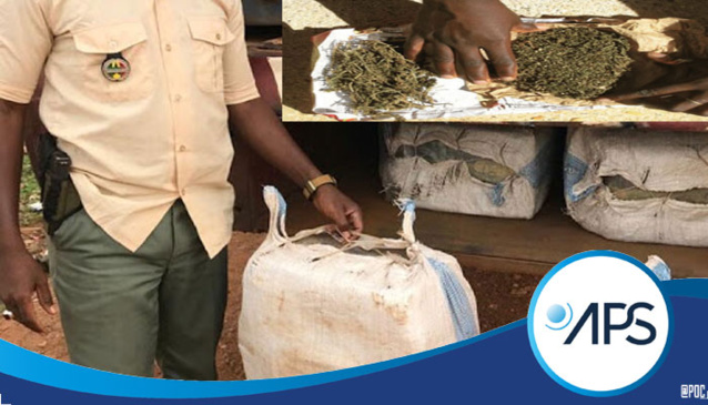 MÉDINA YÉRO FOULA : 6 SACS DE CHANVRE INDIEN ET 2 MOTOS SAISIS PAR LA GENDARMERIE MÉDINA YÉRO FOULA : 6 SACS DE CHANVRE INDIEN ET 2 MOTOS SAISIS PAR LA GENDARMERIE