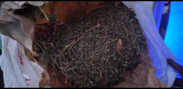 Trafic de stupéfiants : Un caïd d'une bande vivement traquée tombe à Mbao! Trafic de stupéfiants : Un caïd d'une bande vivement traquée tombe à Mbao!