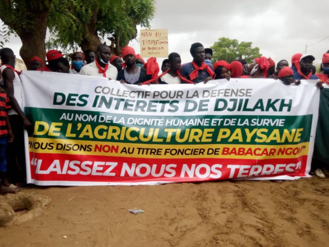 Contentieux foncier à Djilakh: Babacar Ngom "lâche" les 300 hectares litigieux Contentieux foncier à Djilakh: Babacar Ngom "lâche" les 300 hectares litigieux