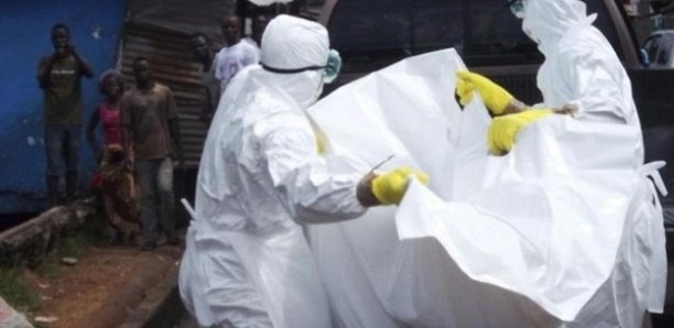 Epidémie mortelle de fièvre Lassa : La Guinée demande de l'aide