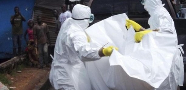 Epidémie mortelle de fièvre Lassa : La Guinée demande de l'aide Epidémie mortelle de fièvre Lassa : La Guinée demande de l'aide