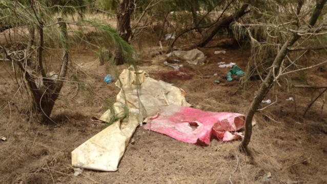 Tivaoune Peulh / corps retrouvé dans les filaos : la thèse de l’homicide se dessine.