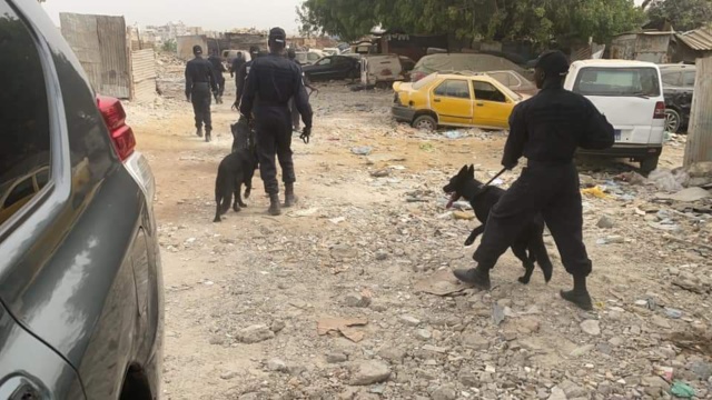 LA GENDARMERIE EFFECTUE UNE RAZZIA À OUAKAM : PLUS DE 800 ARRESTATIONS, DROGUE ET ARMES BLANCHES SAISIES