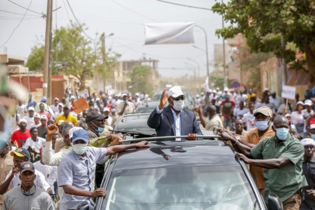 "Descente en banlieue dakarroise"  du Pr Macky Sall: Revivez l'incroyable mobilisation du jeune responsable de l'APR, Cheikh Mbacké Ndiaye