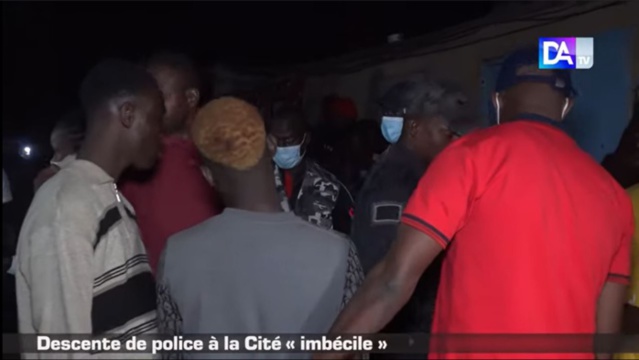 Opération de la Gendarmerie à la Cité « Imbécile » : plusieurs arrestations et armes saisies Opération de la Gendarmerie à la Cité « Imbécile » : plusieurs arrestations et armes saisies