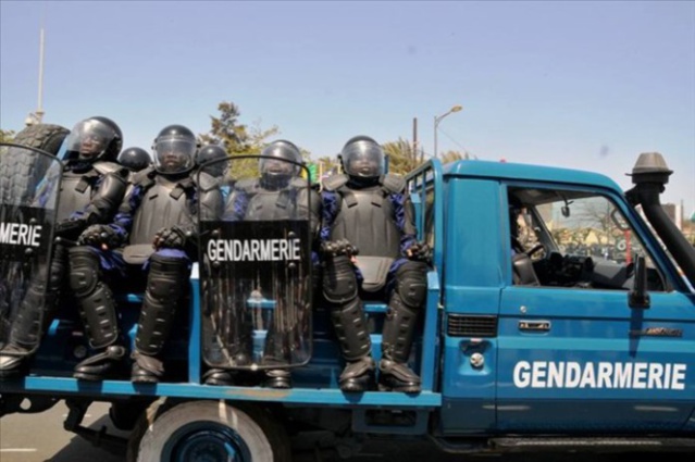 Descente de la gendarmerie à la Cité «Imbécile » de Hann: 115 femmes parmi les personnes interpellées Descente de la gendarmerie à la Cité «Imbécile » de Hann: 115 femmes parmi les personnes interpellées