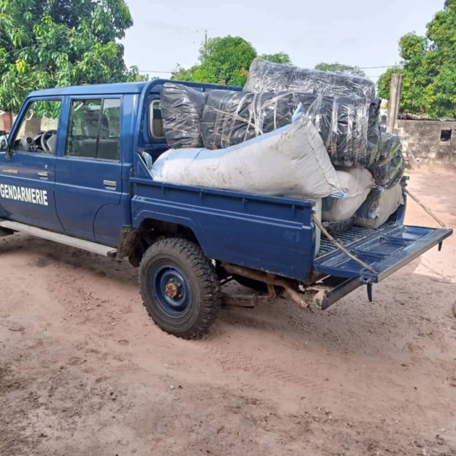 Lutte anti-drogue : Saisie de 245 kg de chanvre indien par la gendarmerie de Thionck-Essyl Lutte anti-drogue : Saisie de 245 kg de chanvre indien par la gendarmerie de Thionck-Essyl