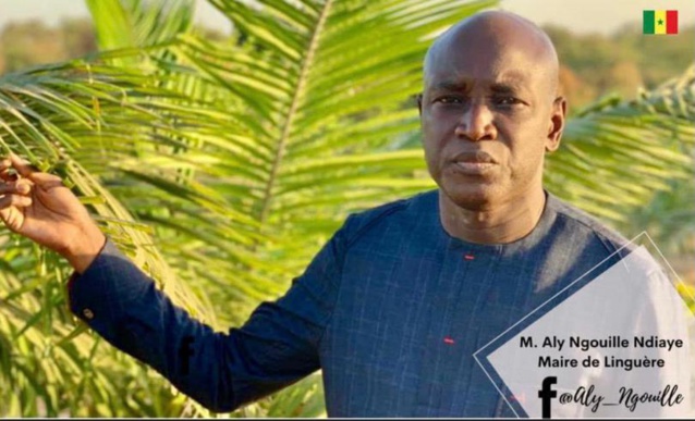 Bilan des sept ans d’Aly Ngouille Ndiaye à la Mairie de Linguère : volonté de transparence ou populisme ? Bilan des sept ans d’Aly Ngouille Ndiaye à la Mairie de Linguère : volonté de transparence ou populisme ?
