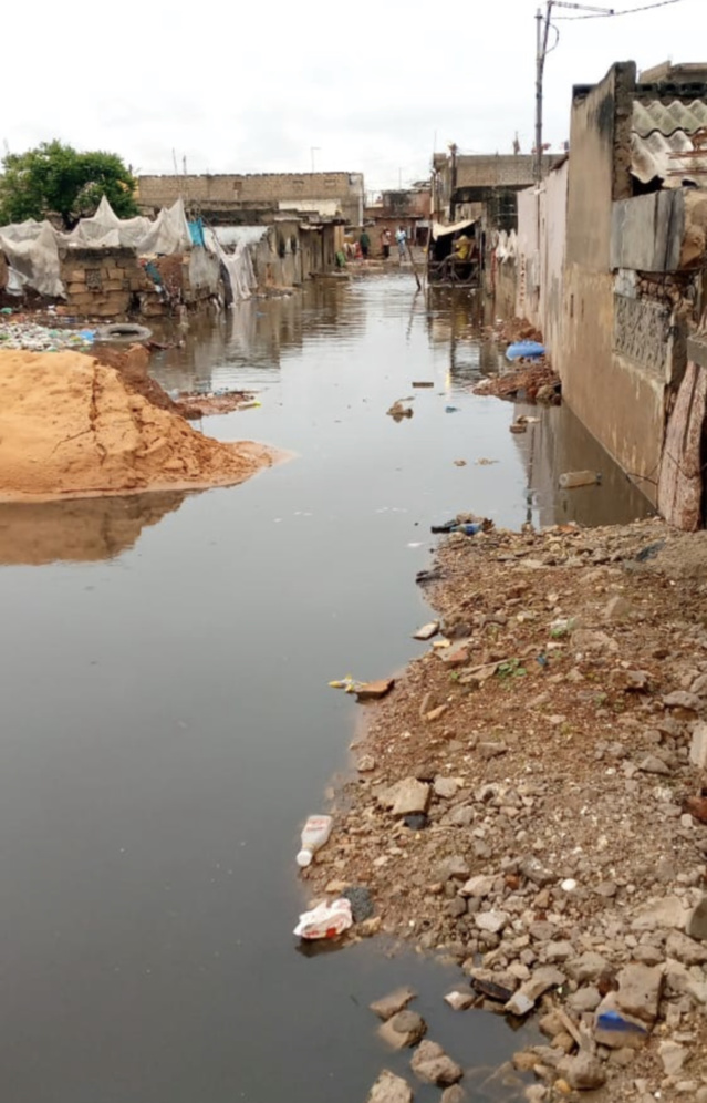 Pluies diluviennes à Dakar : Diamaguène/Sicap-Mbao, Keur Massar, Rufisque et plusieurs autres zones déjà sous les eaux. Pluies diluviennes à Dakar : Diamaguène/Sicap-Mbao, Keur Massar, Rufisque et plusieurs autres zones déjà sous les eaux.