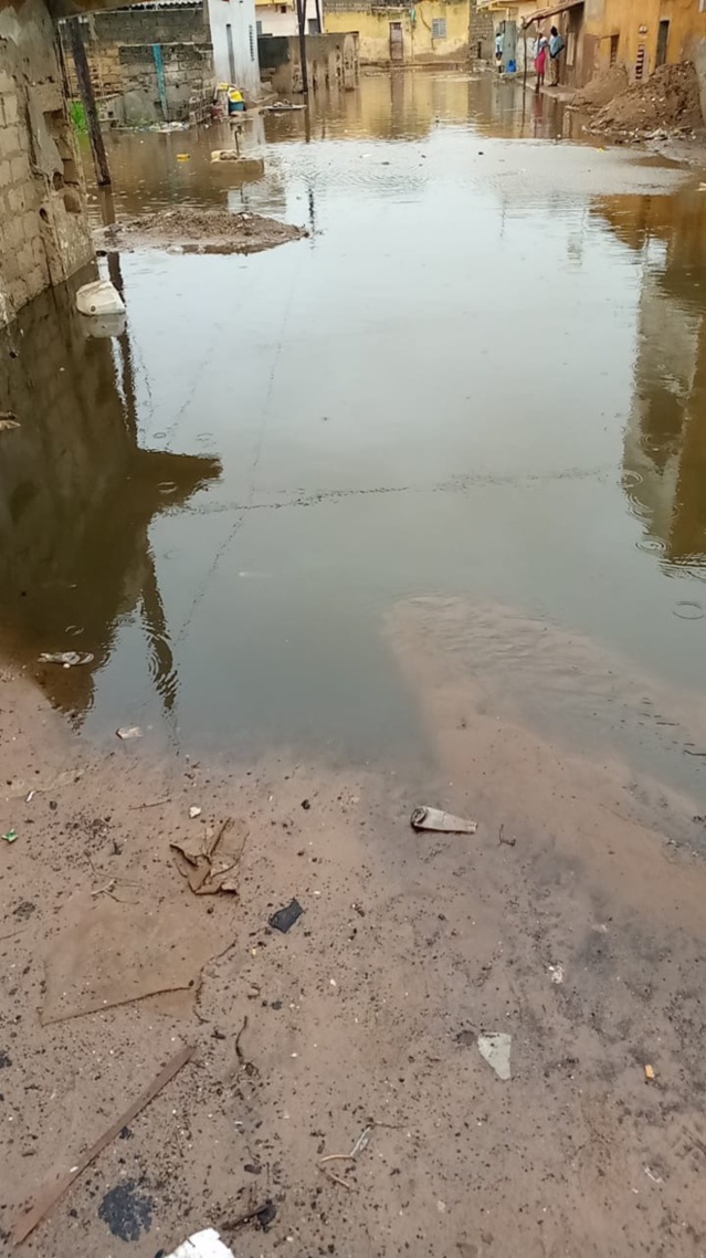 Pluies diluviennes à Dakar : Diamaguène/Sicap-Mbao, Keur Massar, Rufisque et plusieurs autres zones déjà sous les eaux. Pluies diluviennes à Dakar : Diamaguène/Sicap-Mbao, Keur Massar, Rufisque et plusieurs autres zones déjà sous les eaux.