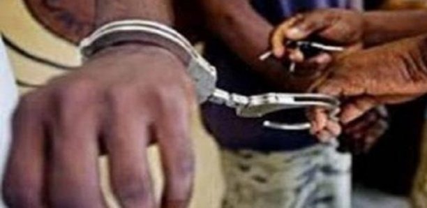 Thiaroye-Sur-Mer: La SU saisit 200 kg de chanvre indien chez un dealer Thiaroye-Sur-Mer: La SU saisit 200 kg de chanvre indien chez un dealer