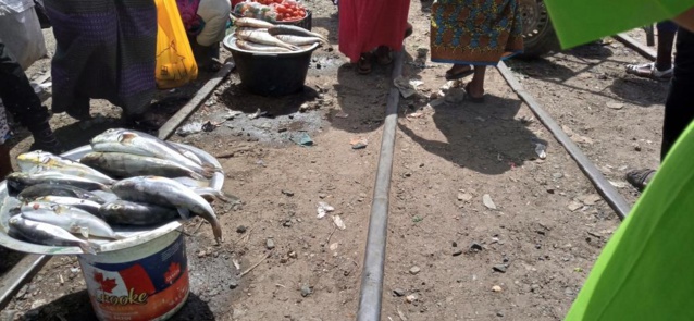 Thiès: les déguerpis du marché Sam envahissent les rails Thiès: les déguerpis du marché Sam envahissent les rails