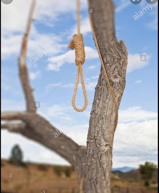 Suicide à Ziguinchor : Après Malang Mané à Kantène, Diéré Sagna retrouvé pendu à un arbre entre Kagnarou et Sindian.
