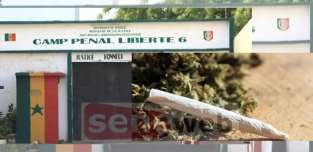 Camp Pénal : De la drogue dissimulée dans du pain Camp Pénal : De la drogue dissimulée dans du pain