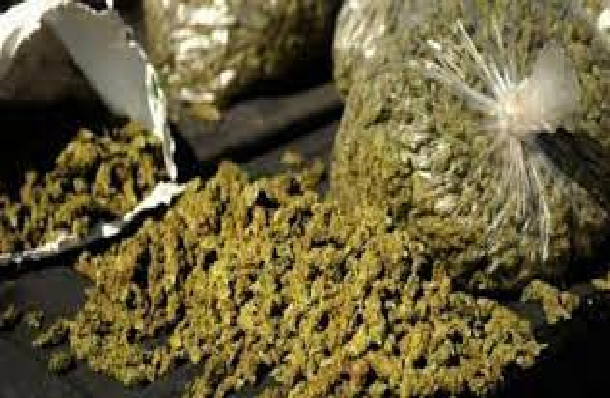 Lutte contre le trafic de drogue : L’OCRTIS de Thiès saisit 102 kg de chanvre indien Lutte contre le trafic de drogue : L’OCRTIS de Thiès saisit 102 kg de chanvre indien