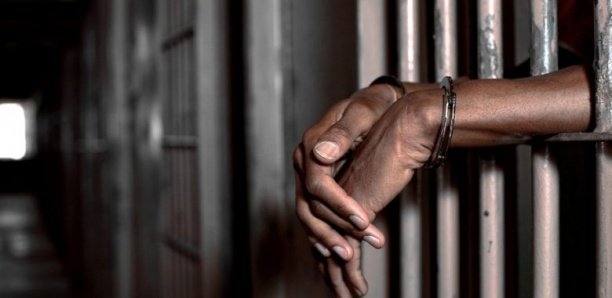 Dakar : Un chef d'entreprise condamné à 2 ans ferme pour trafic de drogue Dakar : Un chef d'entreprise condamné à 2 ans ferme pour trafic de drogue