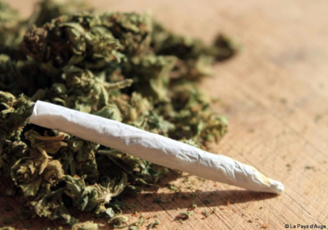 Parcelles assainies: le ferrailleur tombe avec 36 cornets de « yamba » Parcelles assainies: le ferrailleur tombe avec 36 cornets de « yamba »