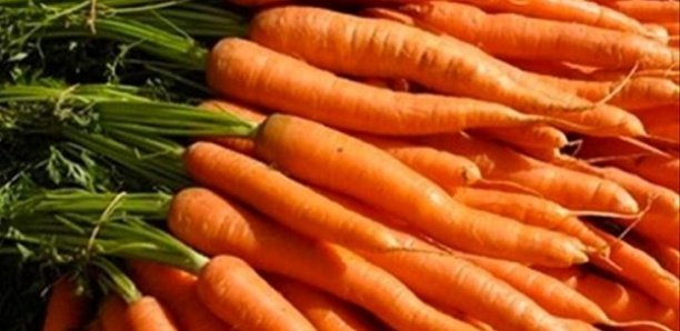 Surproduction, mévente : 8 milliards de FCfa de perte dans la filière carotte