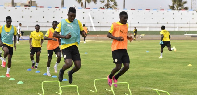 Sénégal-Namibie à 19h à Lat Dior : les «Lions» pour assommer la concurrence Sénégal-Namibie à 19h à Lat Dior : les «Lions» pour assommer la concurrence
