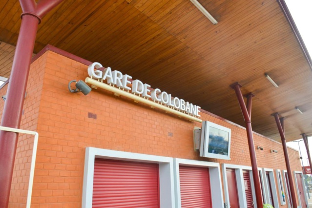 Le TER officiellement lancé ce lundi 27 décembre 2021 – Un bijou qui fait la fierté des Sénégalais Le TER officiellement lancé ce lundi 27 décembre 2021 – Un bijou qui fait la fierté des Sénégalais