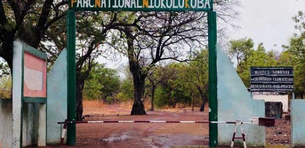 Trois convoyeurs de ciment meurent au cœur du parc de Niokolo Koba Trois convoyeurs de ciment meurent au cœur du parc de Niokolo Koba