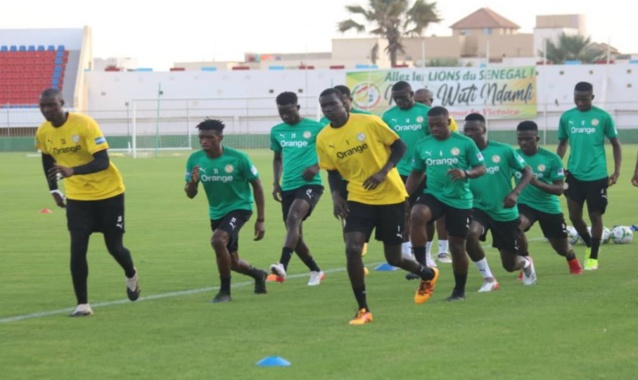 LES LIONS AVANCENT MASQUÉS