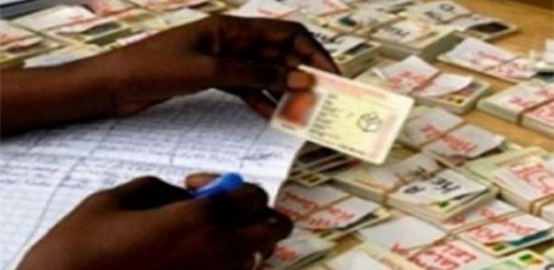 Linguère : Plus de 1 000 cartes d’électeur dans les tiroirs des commissions Linguère : Plus de 1 000 cartes d’électeur dans les tiroirs des commissions