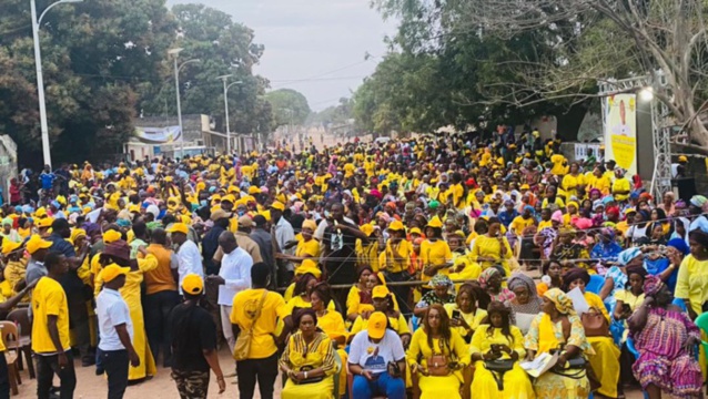 Locales- Kolda : marée jaune à Sikilo pour Mame Boye Diao Locales- Kolda : marée jaune à Sikilo pour Mame Boye Diao