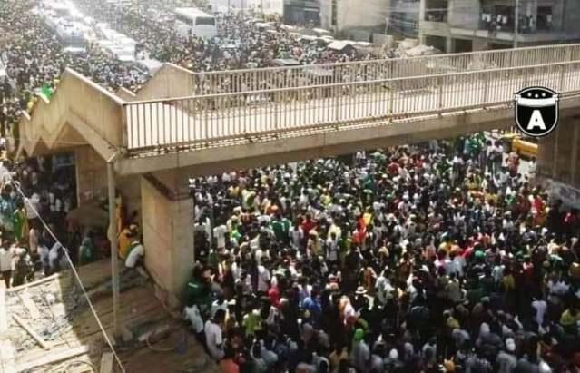 Le Sénégal entier laisse exploser sa joie (images)