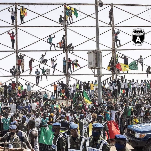 Le Sénégal entier laisse exploser sa joie (images)