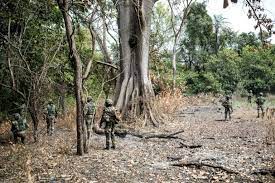 Les rebelles de Casamance promettent de libérer 7 soldats sénégalais Les rebelles de Casamance promettent de libérer 7 soldats sénégalais