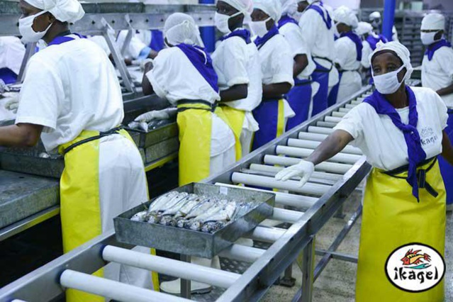 Licenciement économique : Ikagel condamnée à payer environ 30 millions à ses 75 travailleurs Licenciement économique : Ikagel condamnée à payer environ 30 millions à ses 75 travailleurs