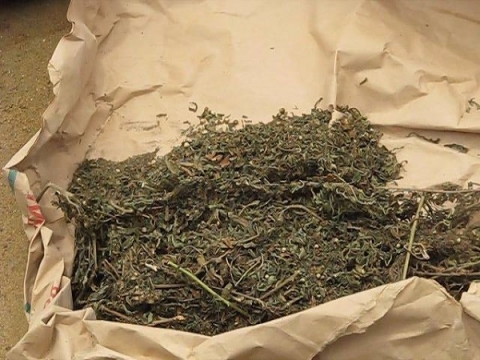 Arrêté avec 2 kg de chanvre indien: Alpha Omar Bâ prend 6 mois ferme Arrêté avec 2 kg de chanvre indien: Alpha Omar Bâ prend 6 mois ferme