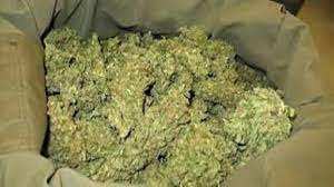 Trafic de drogue sur l’axe Diaobé – Bounkiling : un soudeur métallique interpellé avec cinq boulettes de haschich et 70 kg de “yamba Trafic de drogue sur l’axe Diaobé – Bounkiling : un soudeur métallique interpellé avec cinq boulettes de haschich et 70 kg de “yamba