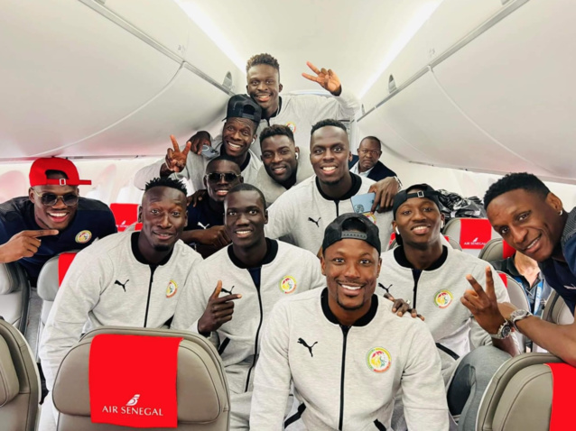 Arrêt sur image : Les Lions  rallient le Caire Arrêt sur image : Les Lions  rallient le Caire