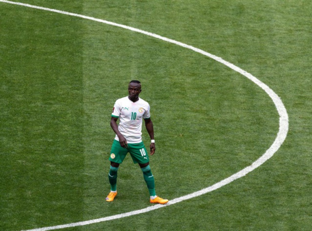 En battant l'Egypte aux tirs au but (3-1) : l'équipe du Sénégal se qualifie pour sa deuxième Coupe du monde d’affilée En battant l'Egypte aux tirs au but (3-1) : l'équipe du Sénégal se qualifie pour sa deuxième Coupe du monde d’affilée