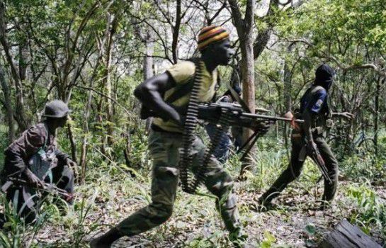 Braquage en Casamance : Un commerçant dépouillé de "dizaines de millions" par des hommes armés
