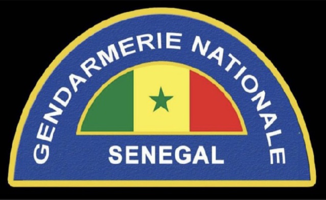 Enquête sur le meurtre de Seynabou Kâ Diallo: Ce que dit la version officielle de la Gendarmerie