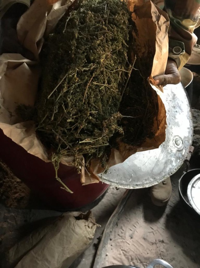 L'Armée frappe encore au coeur la faction Mfdc de Paul Bassène: une hallucinante saisie de Yamba (photos)