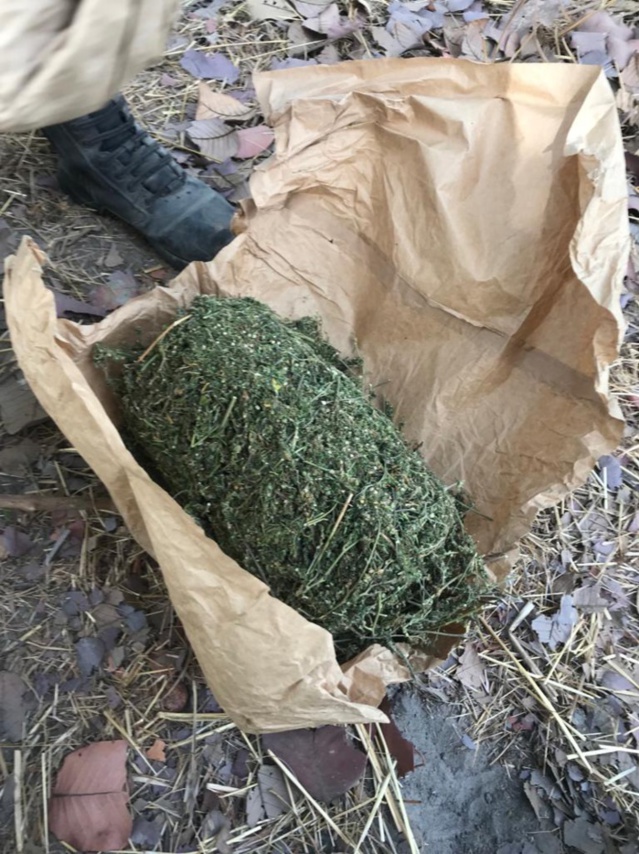 L'Armée frappe encore au coeur la faction Mfdc de Paul Bassène: une hallucinante saisie de Yamba (photos)