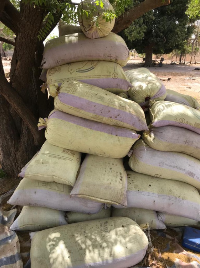 L'Armée frappe encore au coeur la faction Mfdc de Paul Bassène: une hallucinante saisie de Yamba (photos)