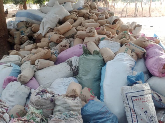 Démantèlement des bases du Mfdc par l’armée : Les images des bases de Niombolong et Médiadia.
