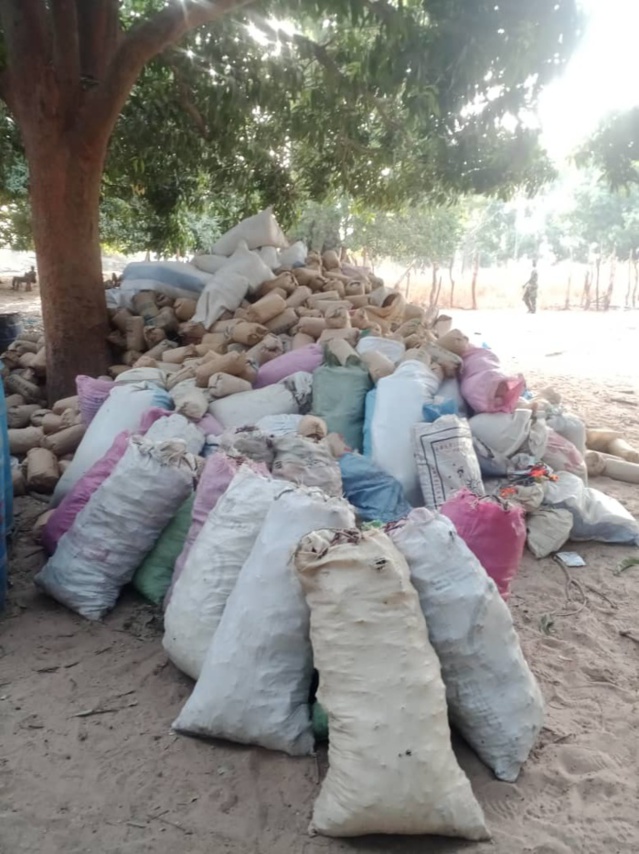 Démantèlement des bases du Mfdc par l’armée : Les images des bases de Niombolong et Médiadia.