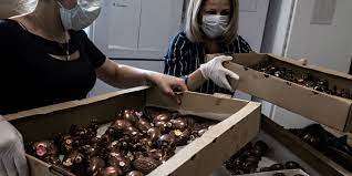Pâques : face au scandale sanitaire chez Kinder, les Français se ruent chez les chocolatiers