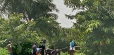 Ziguinchor : Un jeune élève meurt après avoir chuté d’un arbre