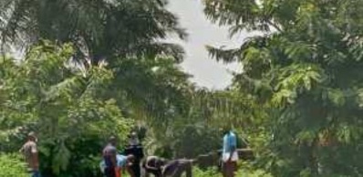 Ziguinchor : Un jeune élève meurt après avoir chuté d’un arbre Ziguinchor : Un jeune élève meurt après avoir chuté d’un arbre